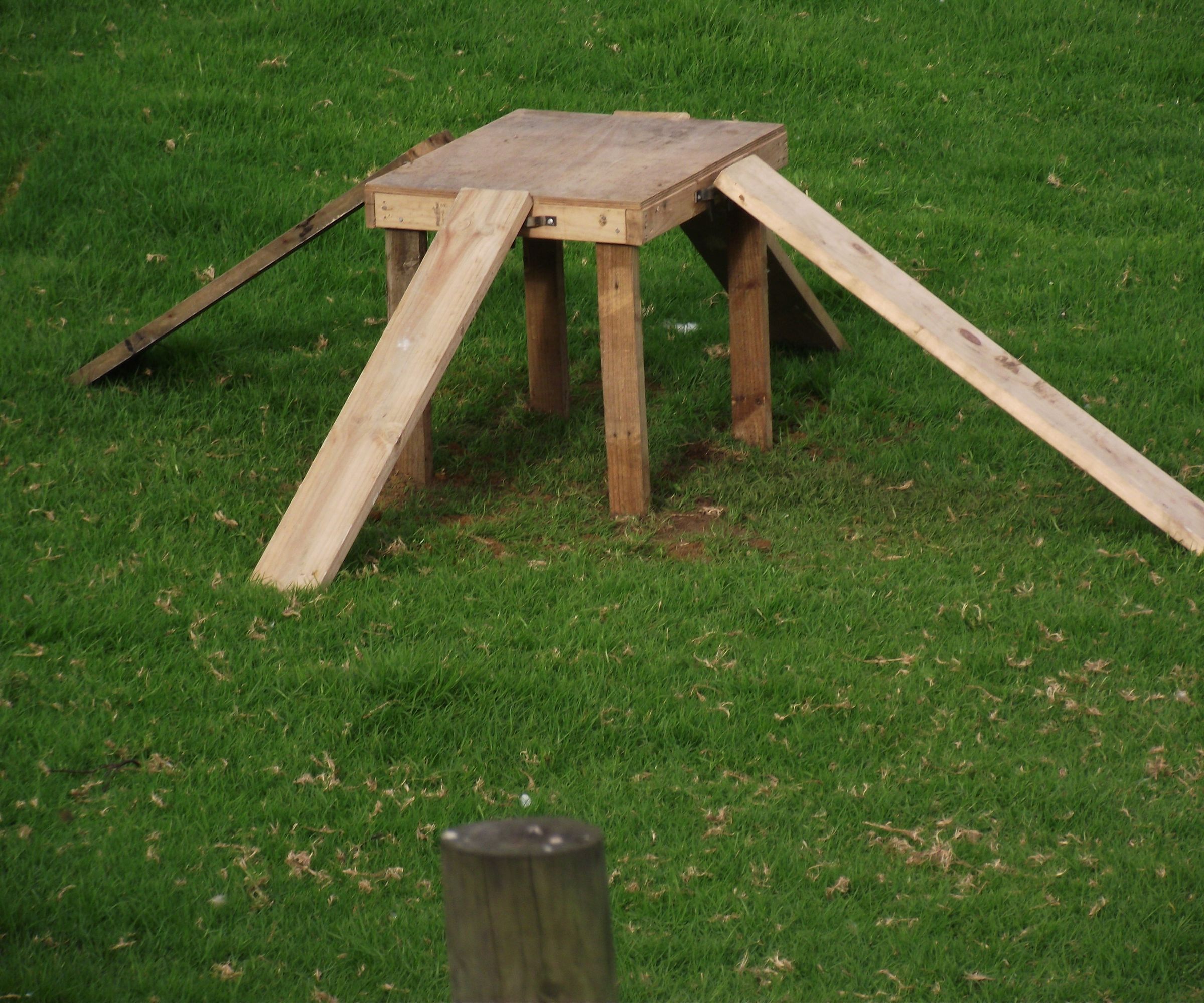 Dog Agility Table