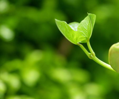 Những Cách Để Xóa Bỏ Giọng Bản Xứ Cũ