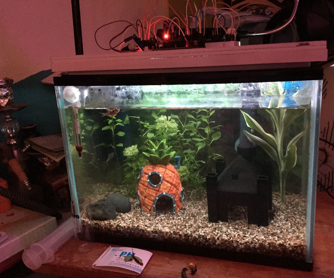 Arduino - Digital Clock with aquarium RGB light control