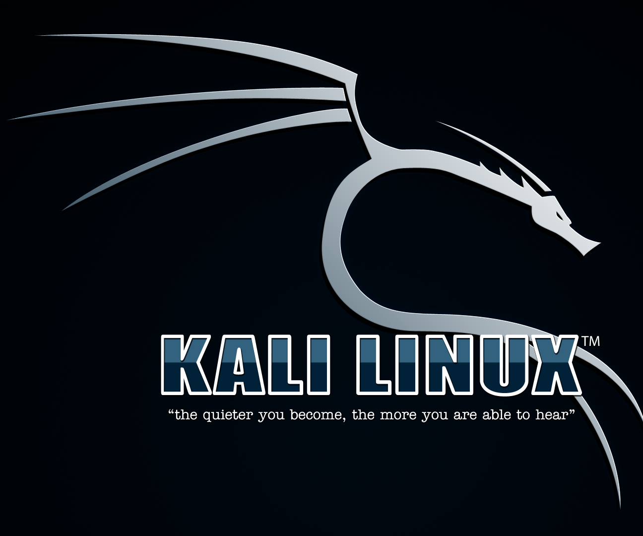 How to Make a Bootable Usb Drive of Kali Linux 4 Steps Instructables