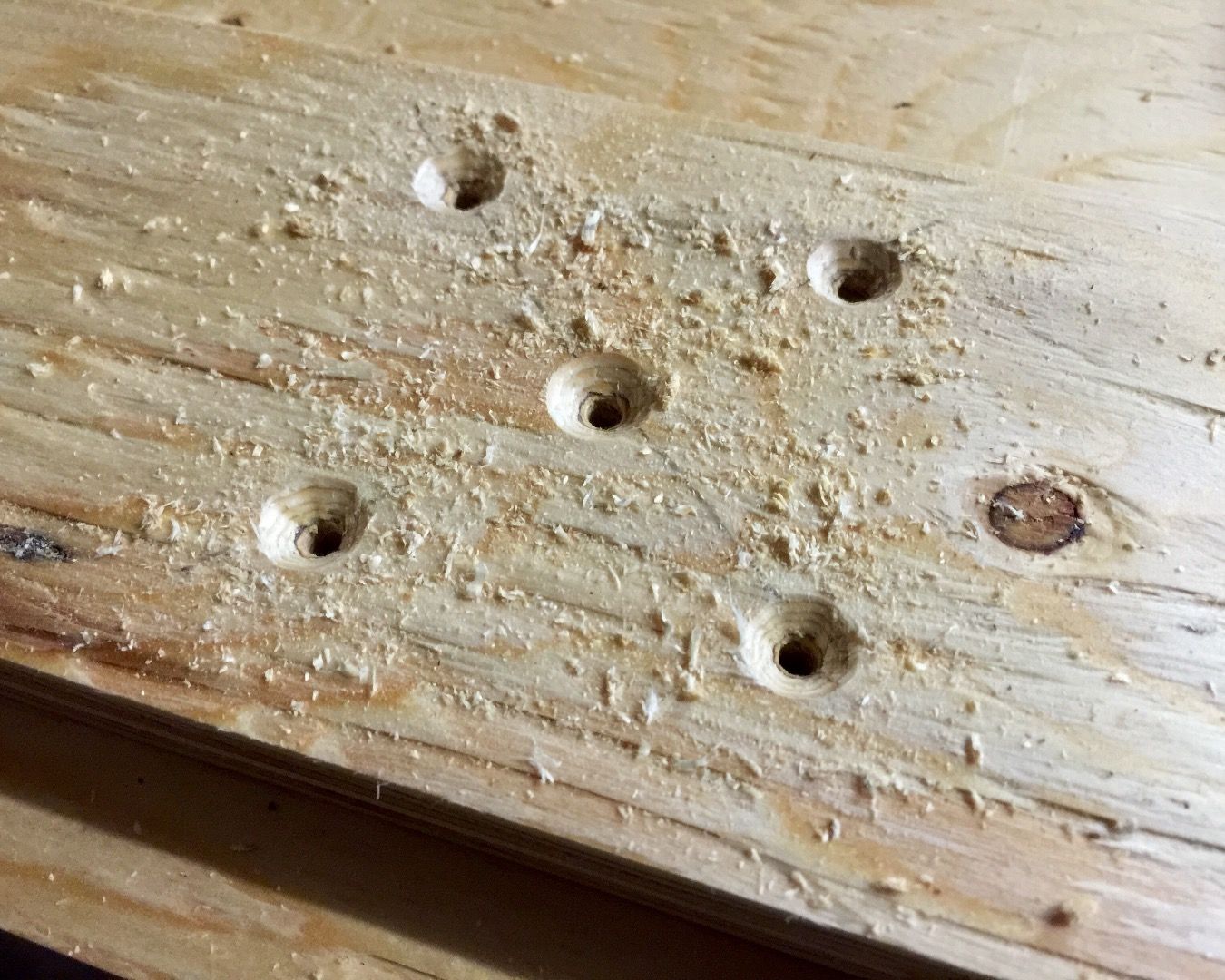 Folding Plywood Sawhorses : 5 Steps (with Pictures) - Instructables