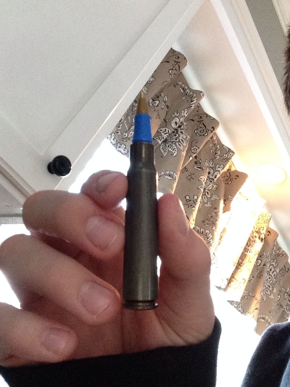 Bullet Shell Pen