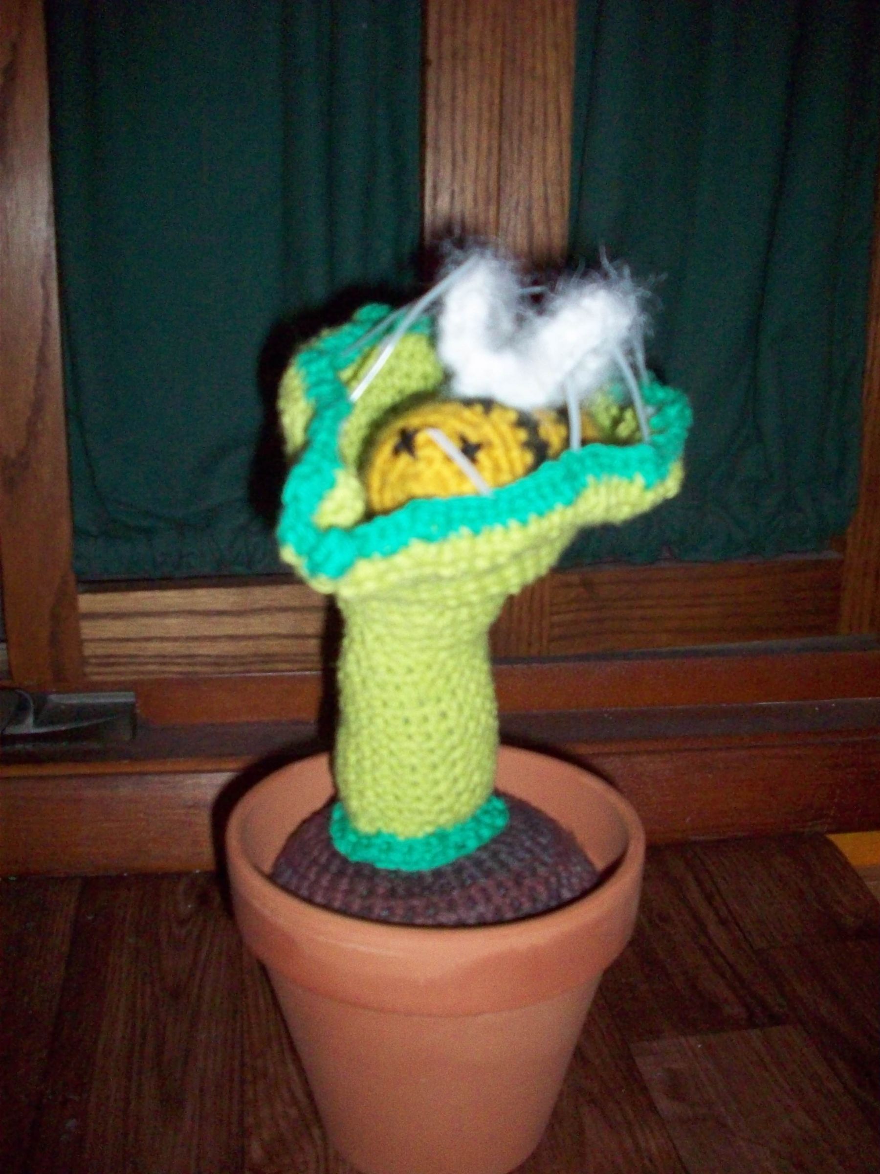 Bee Eating Venus Fly Trap