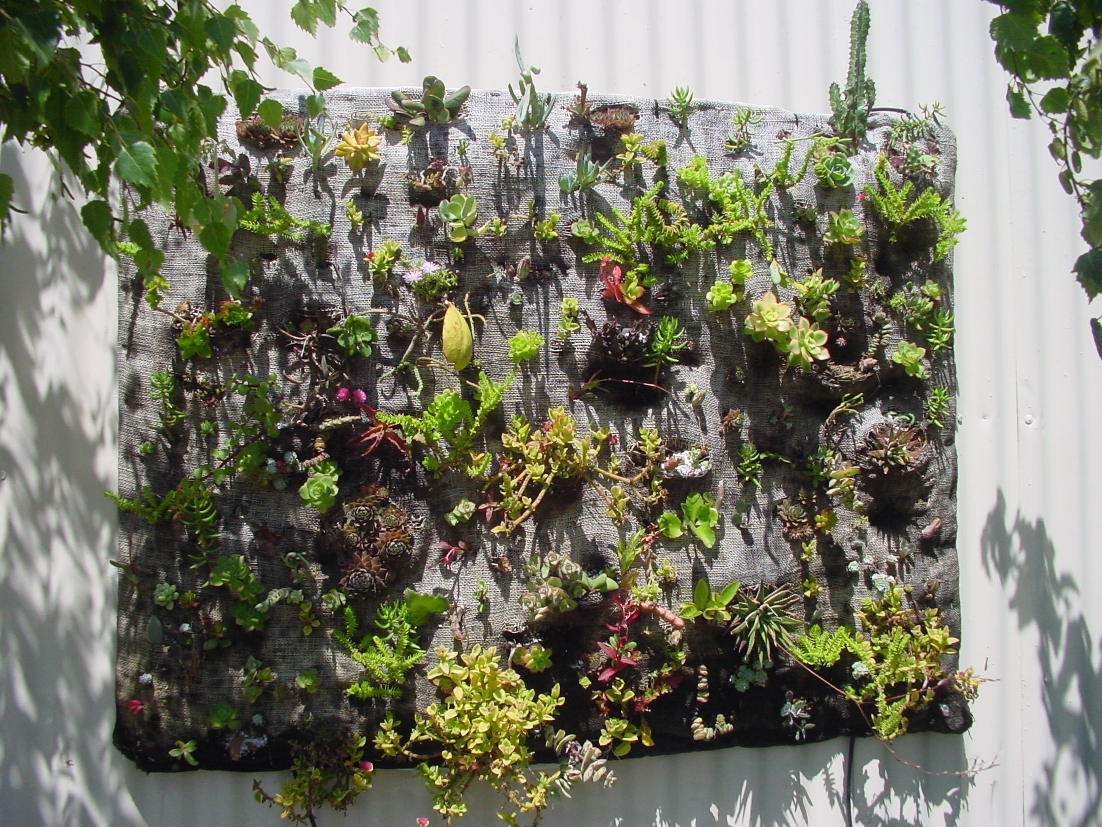 Succulent Quilt