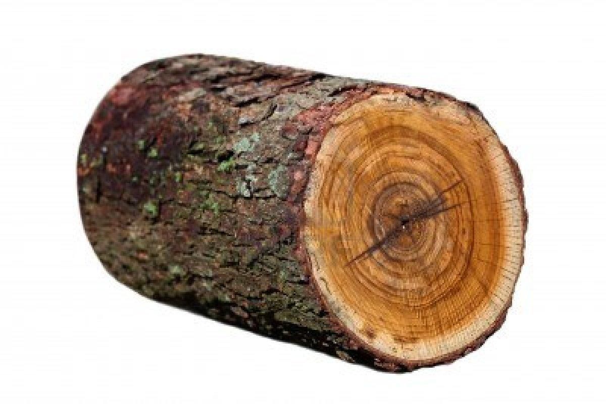 karinjela