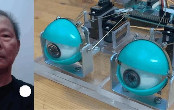 Control Robotic Eyes With My Eyes Using AI and Deep Learning
