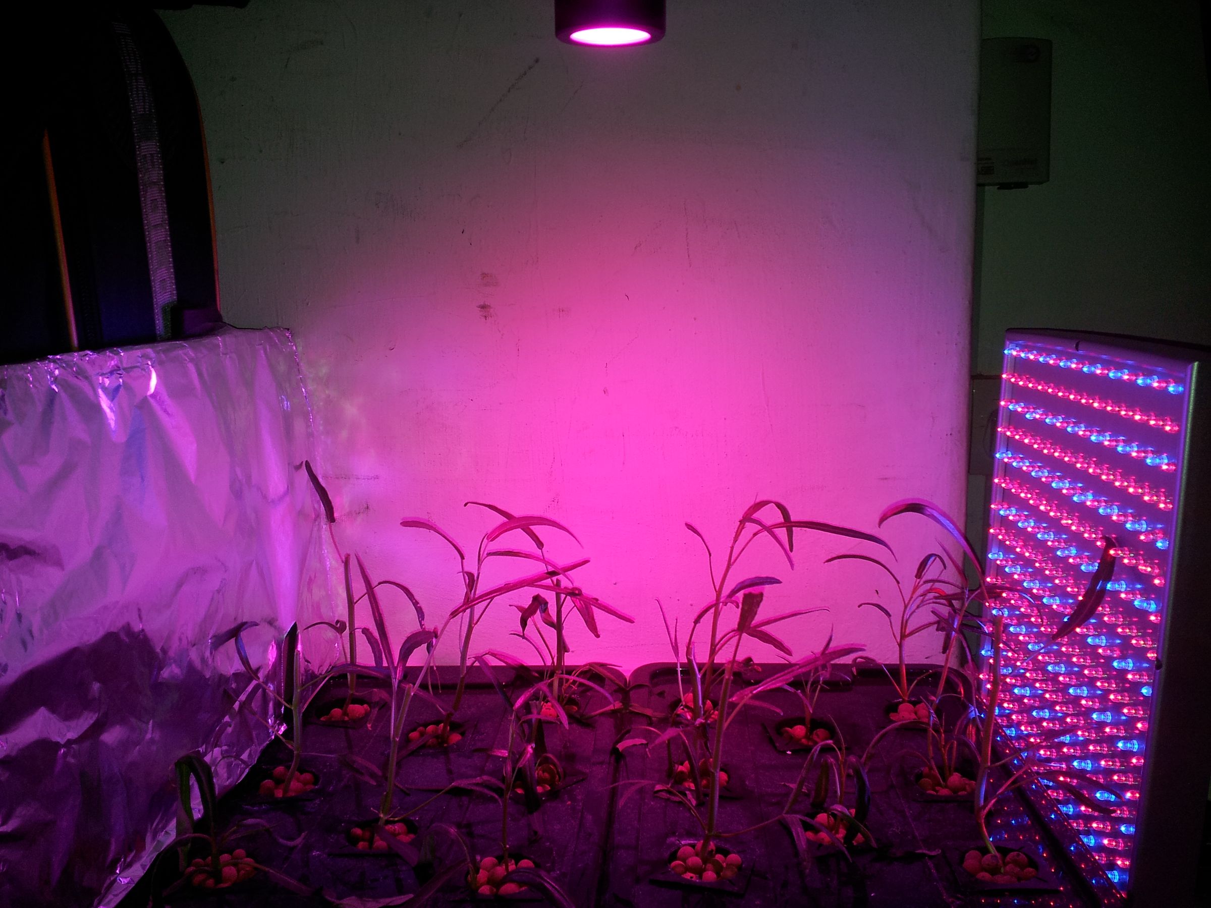 Small Indoor hydroponics