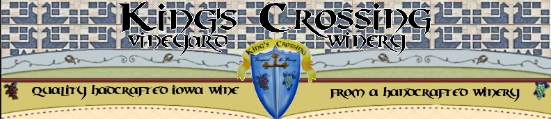 How Wine Is Made Professionally