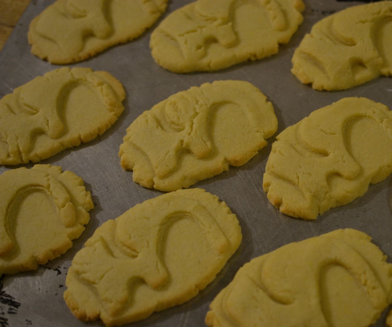 Elephant Sugar Cookies