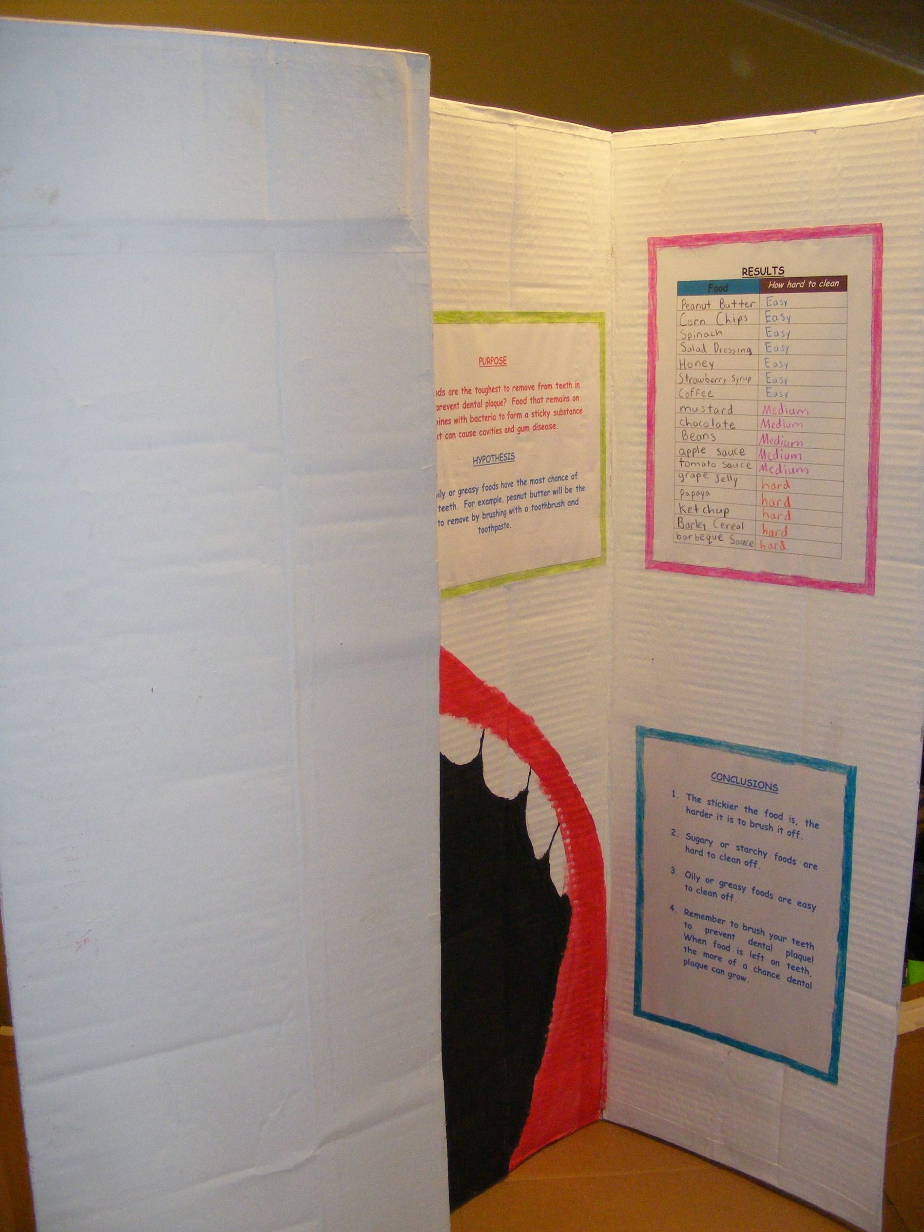 Science Fair Display Board