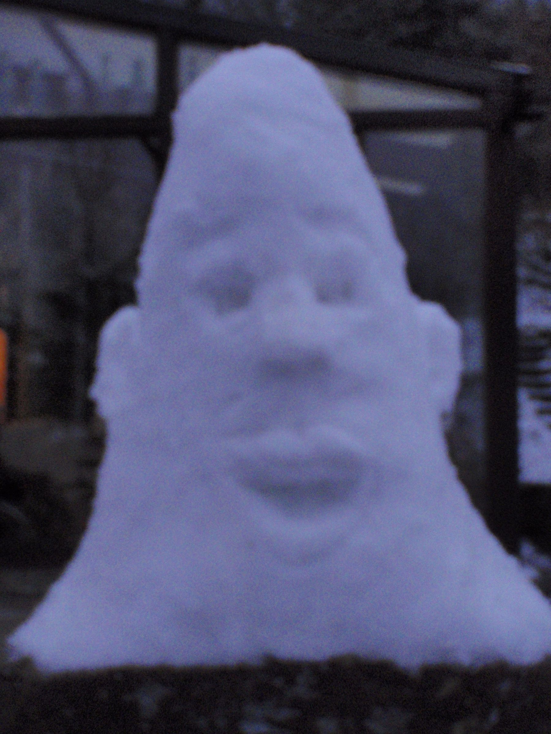 Snow Gentleman!