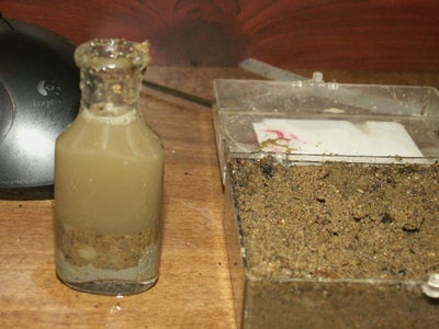 Step Eleven: Layer Three Sand