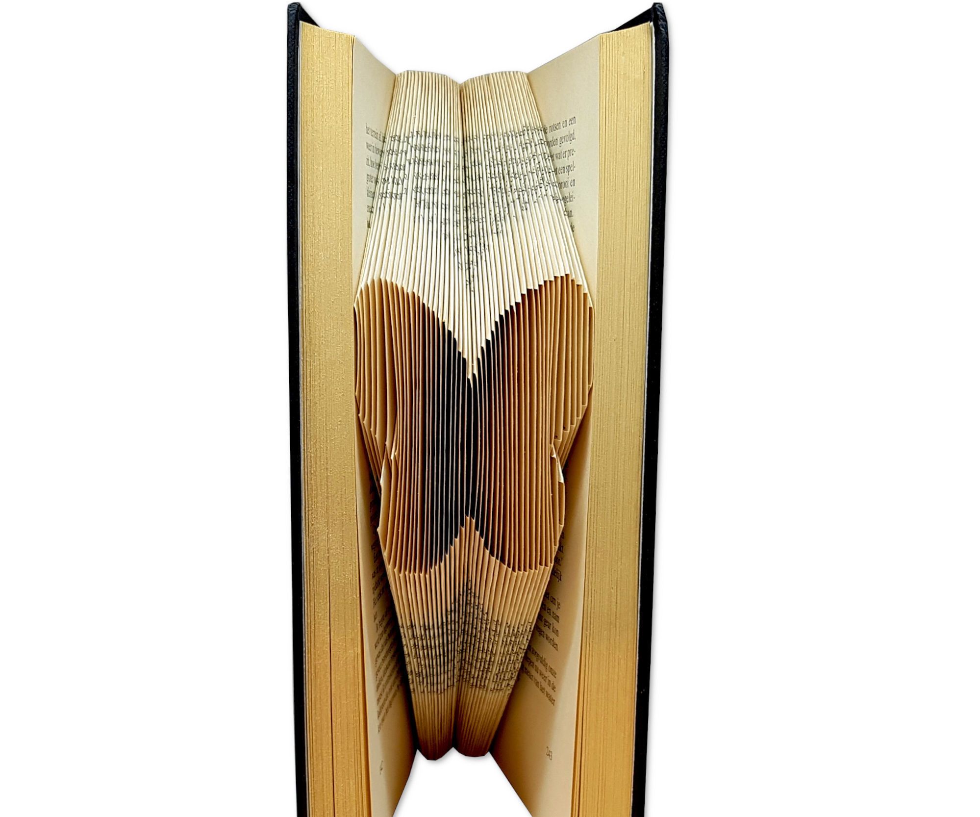 Create Your Own Piece of Folded Book Art - Bookfolding Pattern Butterfly - Free Online Workshop