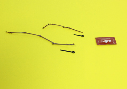 What You'll Need for This Project