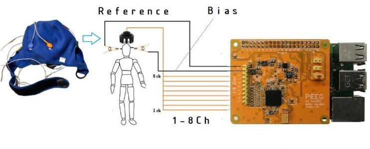Connect EEG Electrodes
