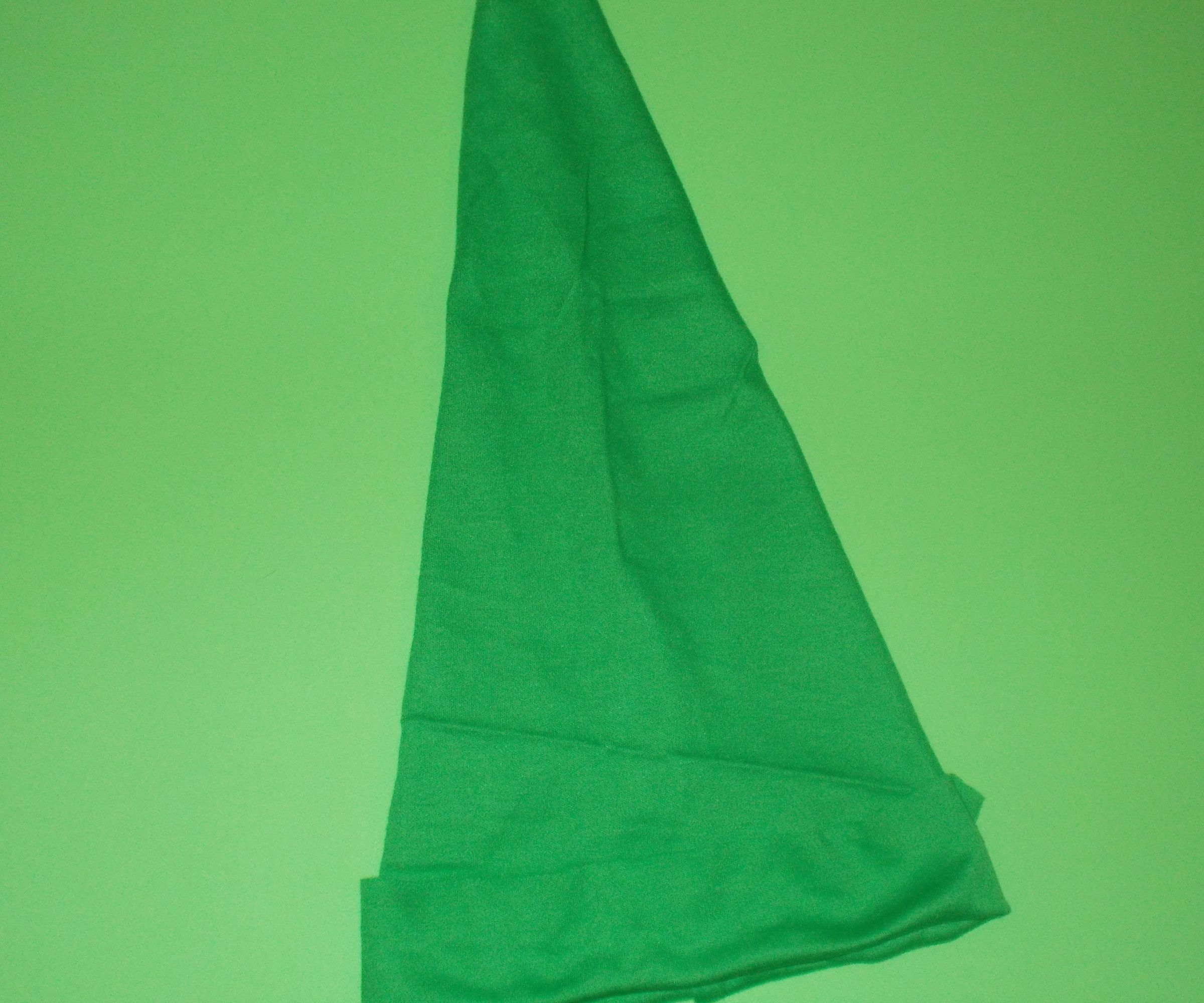 Legend of Zelda: Link's Hat