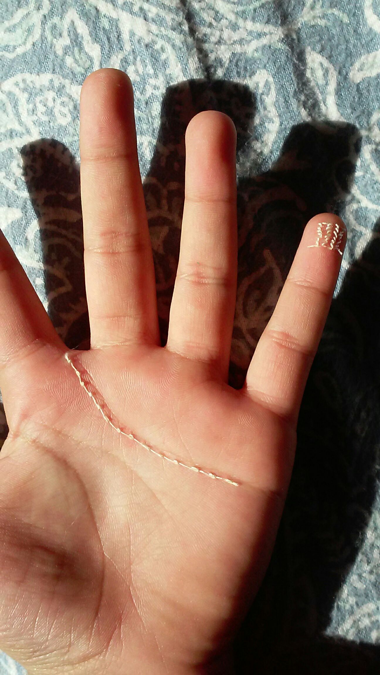 Hand Sewing: Not the Type You're Thinking Of!