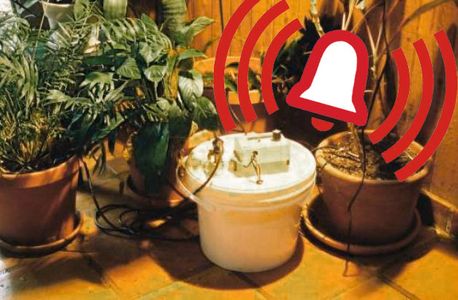 Automatic Plant Watering Alarm Electronics Mini Project