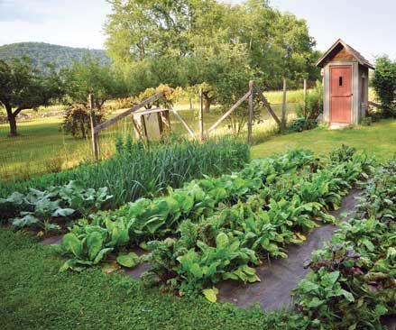 How to Plant a Garden