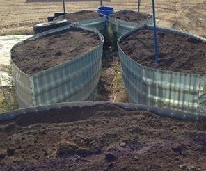 raised garden