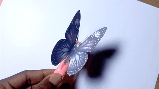 Making the Butterfly