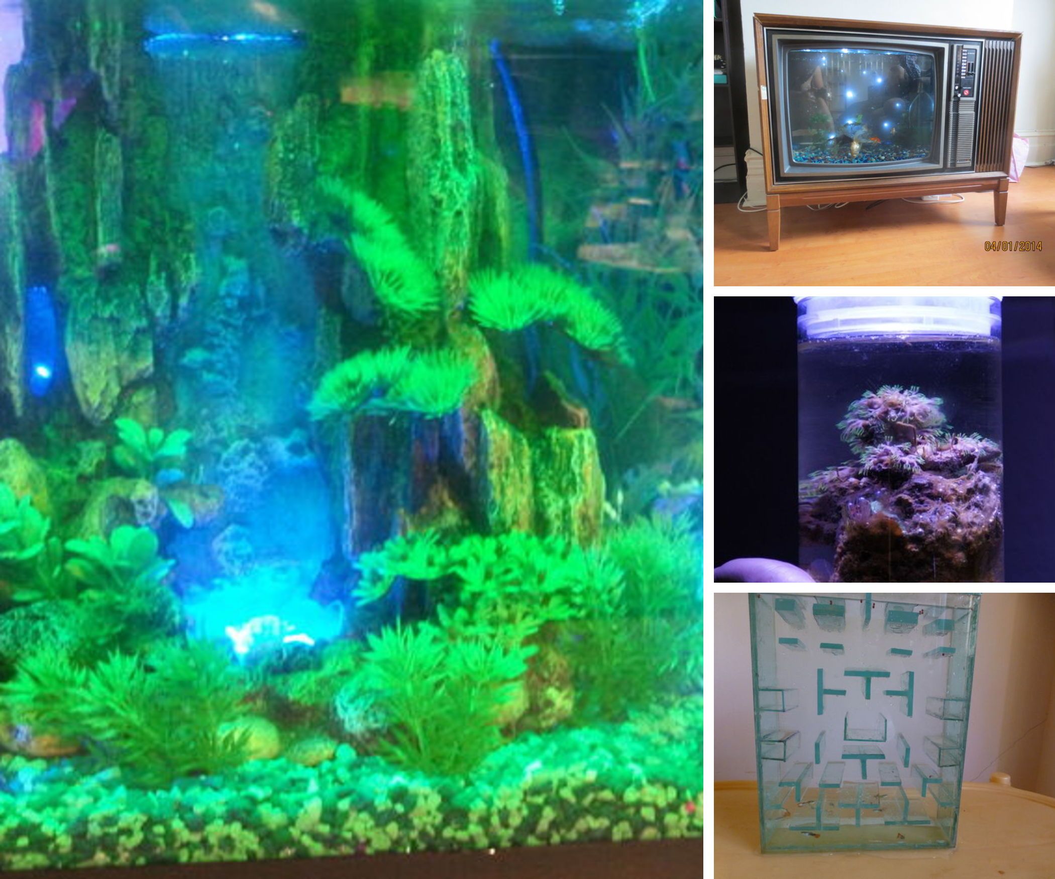10 Amazing Aquariums