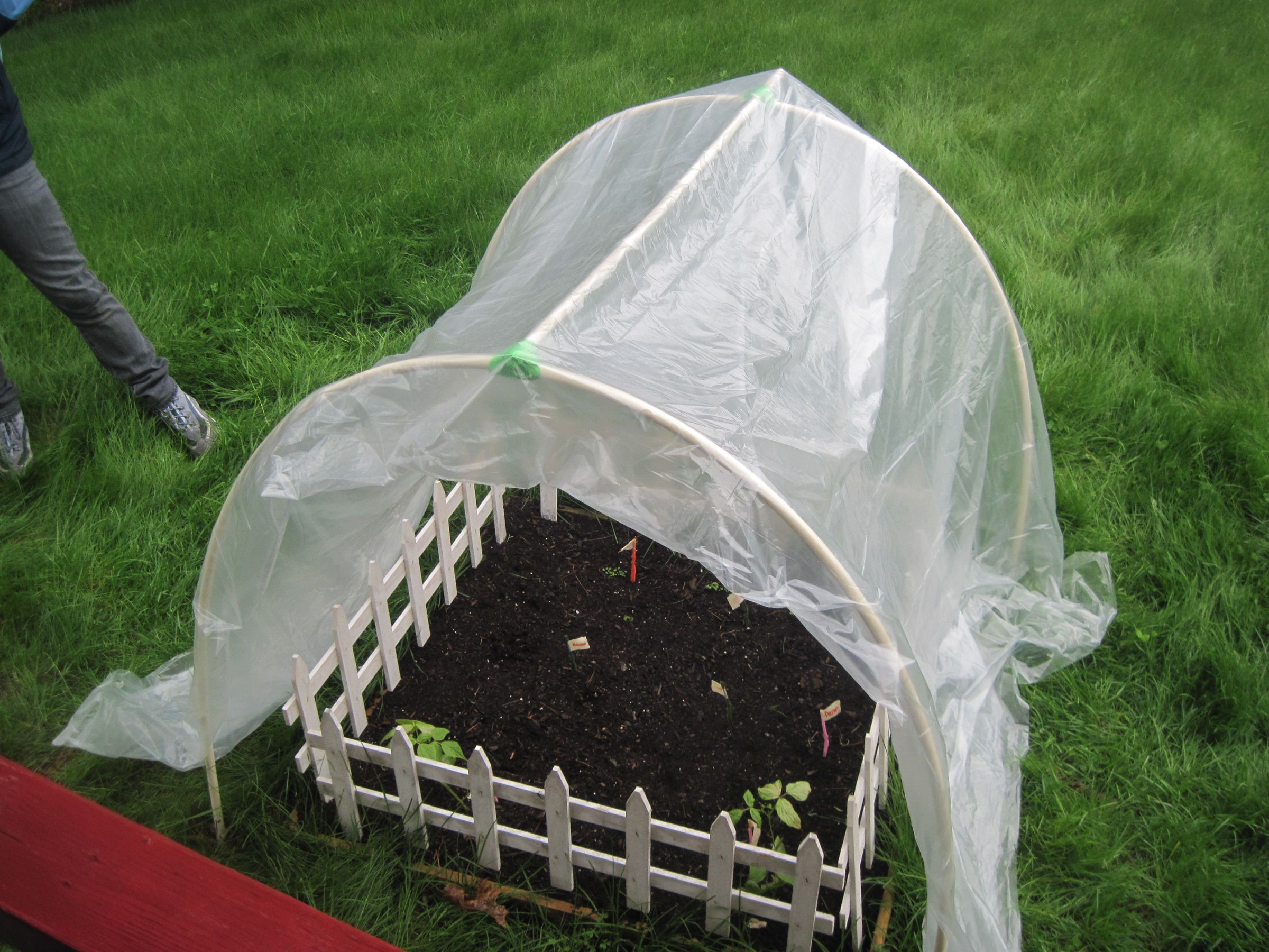 Plantduino Greenhouse : 21 Steps (with Pictures) - Instructables