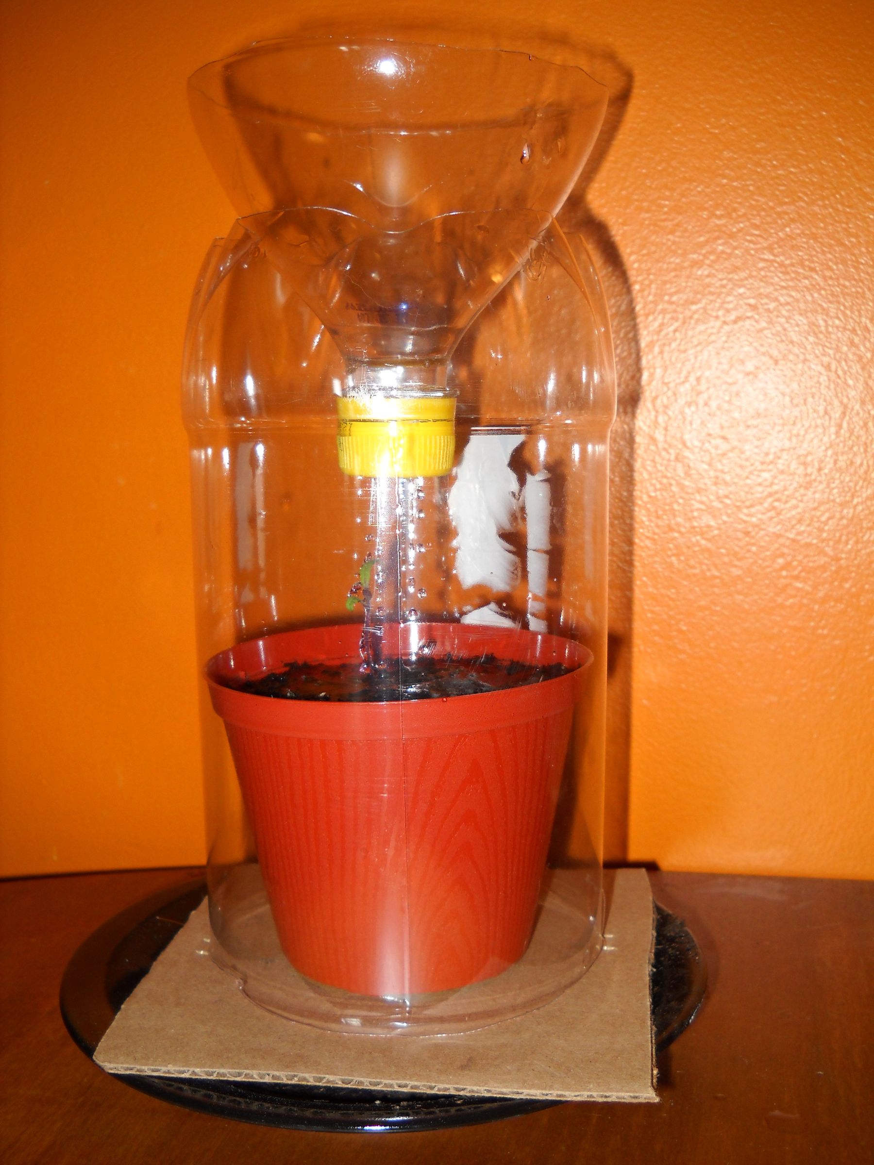 Mini Greenhouse for Seedlings Cat Proof! 9 Steps Instructables