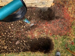 Çim ve Kazı Deliklerini Çıkarın