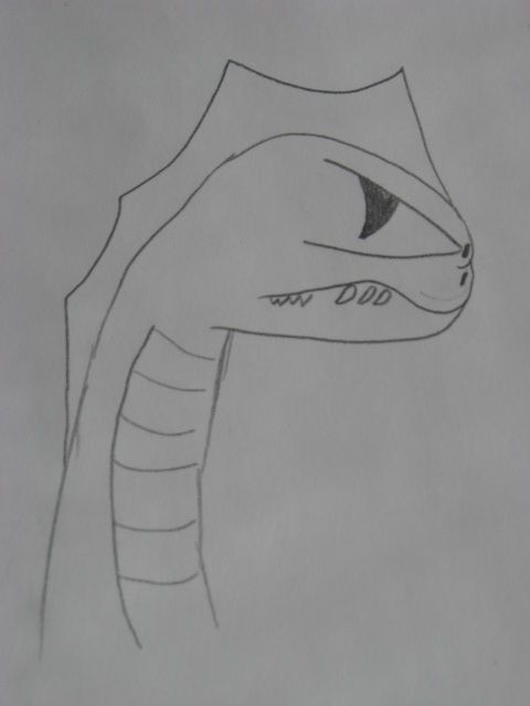 How to Draw a Dragon