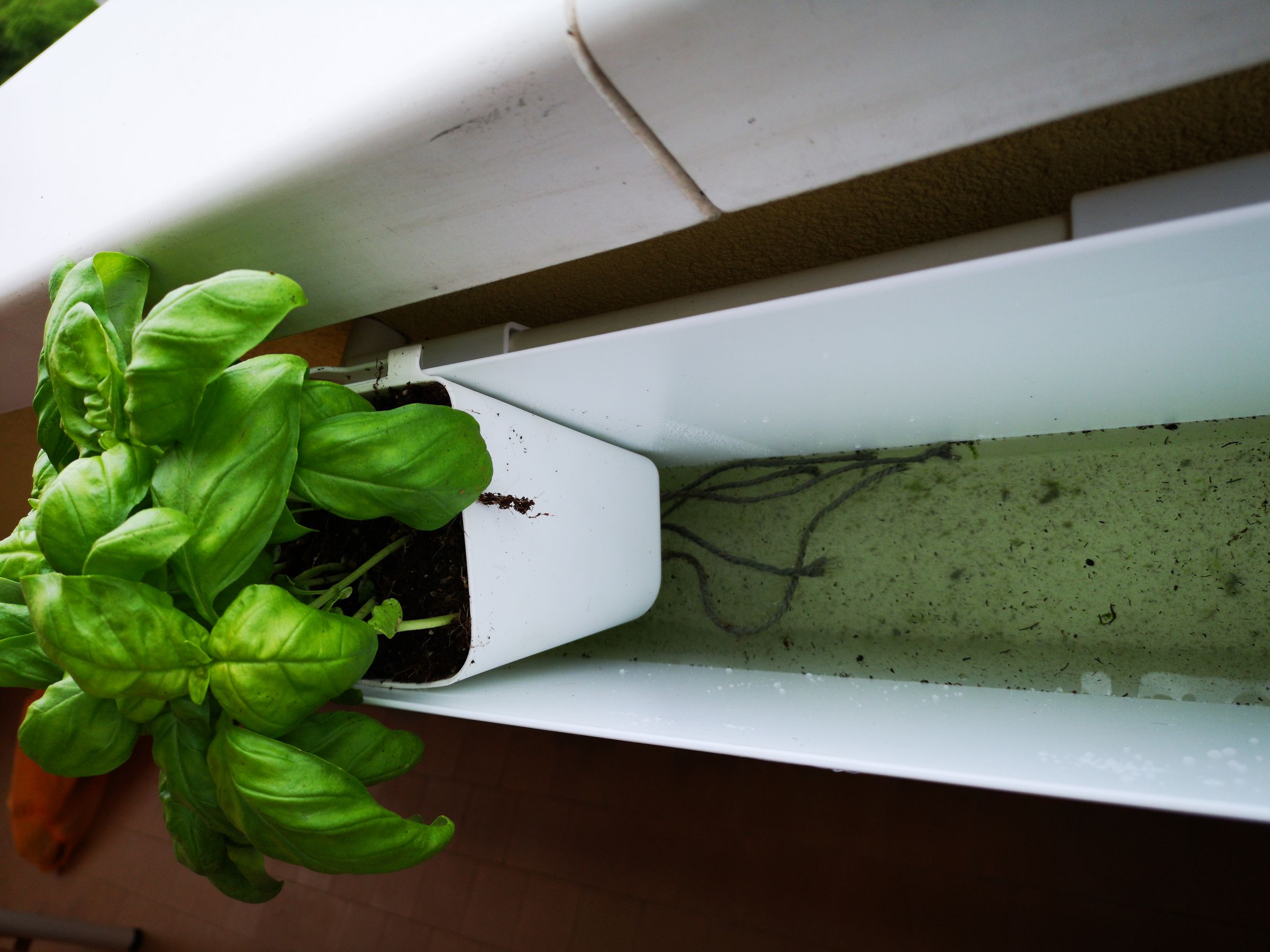 IKEA Self Watering System 9 Steps (with Pictures) Instructables