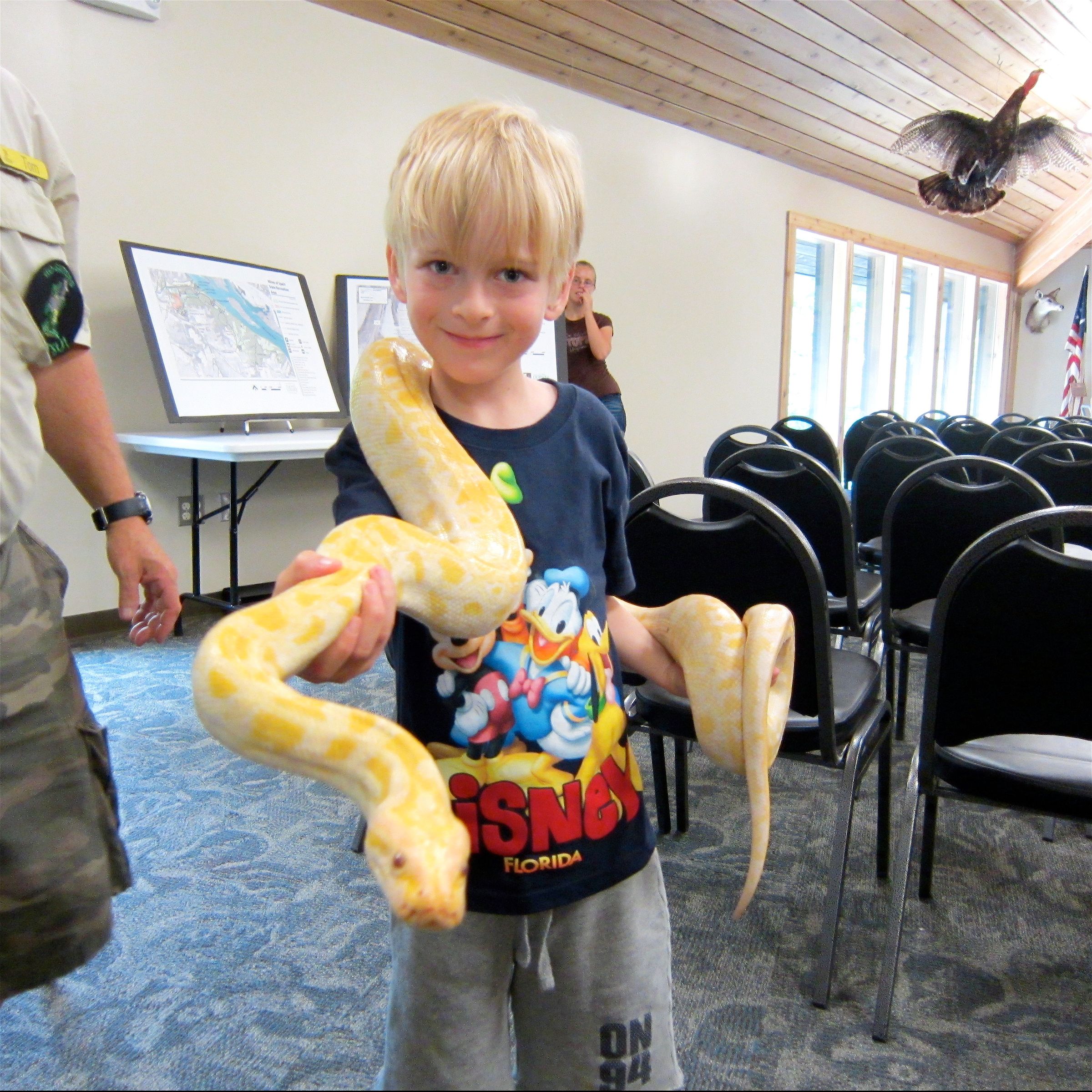 How to Make a Wooden Snake Toy 6 Steps (with Pictures) Instructables