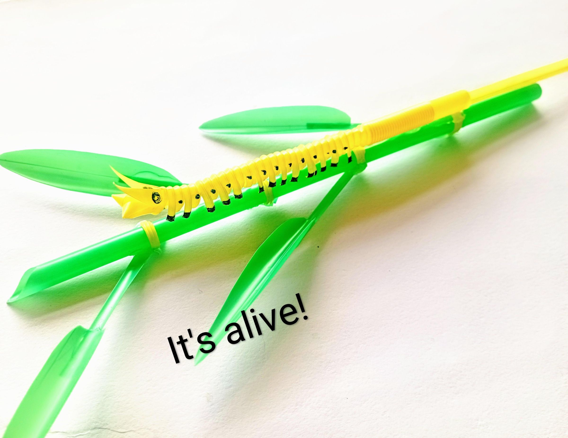 Bamboo-Crawling Caterpillar From Drinking Straws