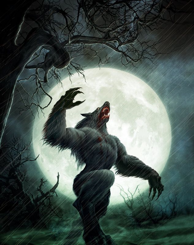 How to Kill a Werewolf