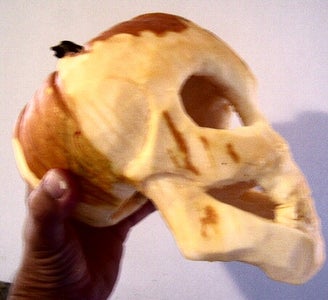 Skull Pumpkin