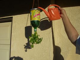 Go Green Upside Down Hanging Planters : 10 Steps (with Pictures) -  Instructables
