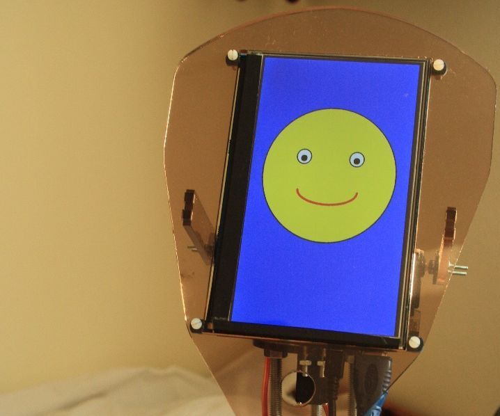 Brzydal - the Social Robot