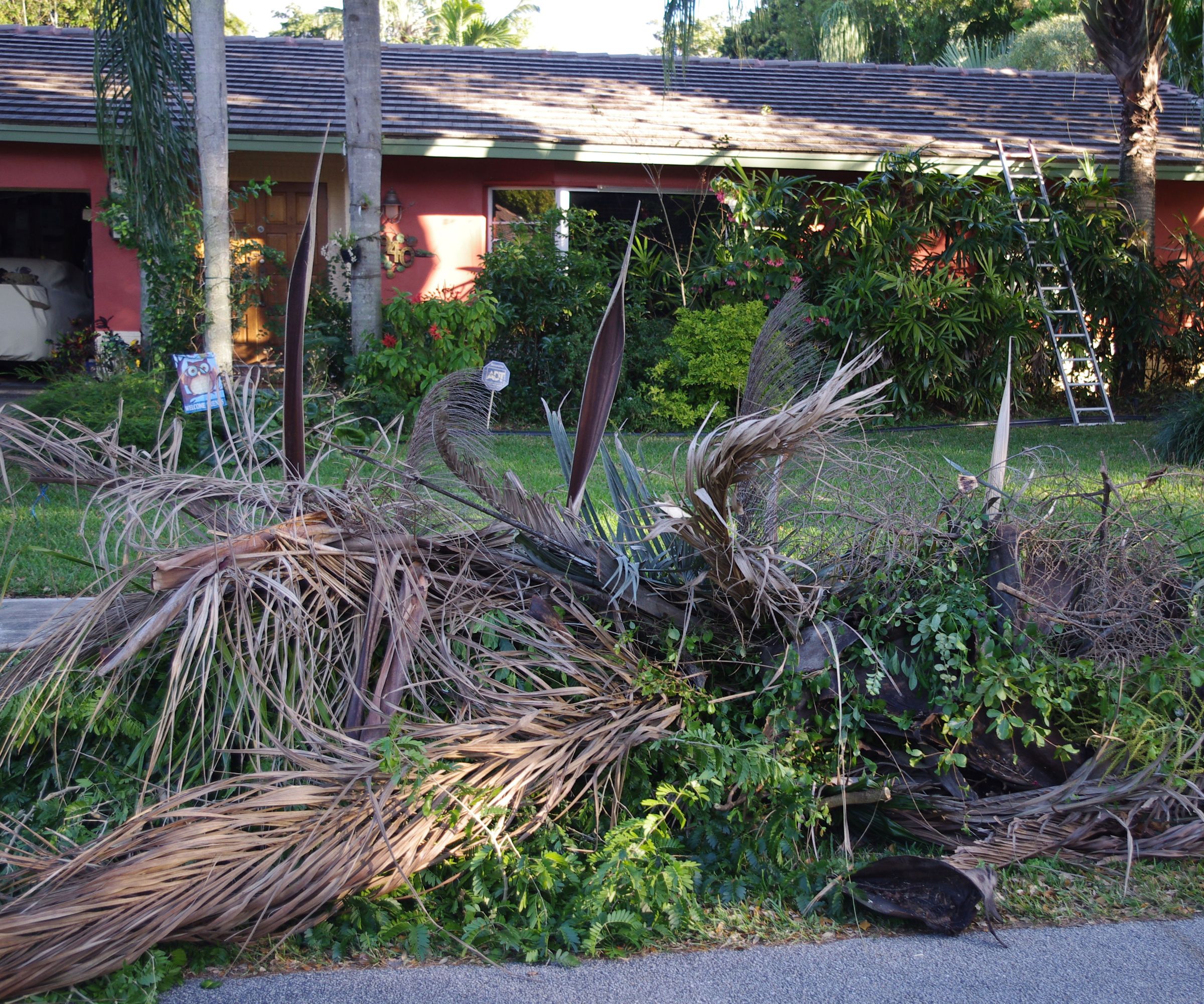 Temporary Bio Art Installation 