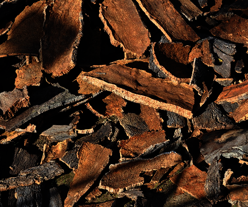 Cork Flooring