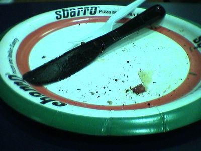 Step 2: Wrap Tin Foil Around the Paper Plate