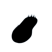 download {{ file.name }}