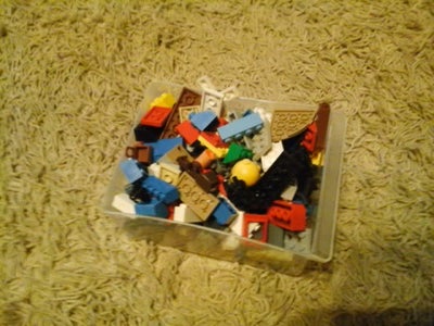Getting the Bricks.