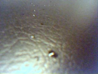 how to spray saliva straight from the glands