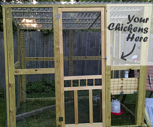 Building a Chicken Run for Beginners