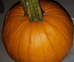 How to Shave a Pumpkin