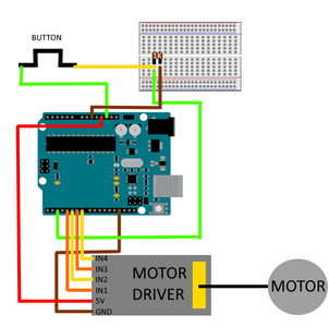 Wire the Motor