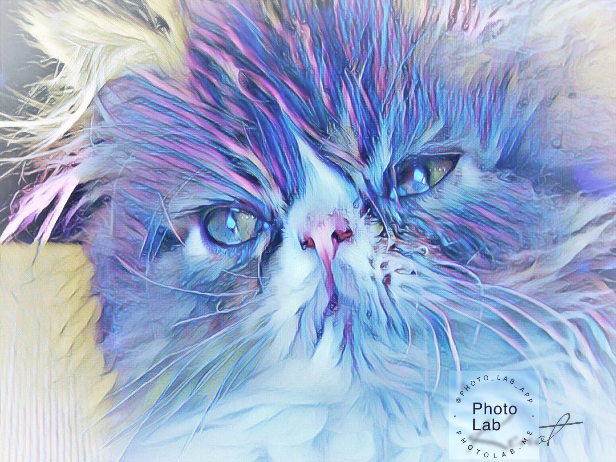 Sonnet van Tonder-van Zyl