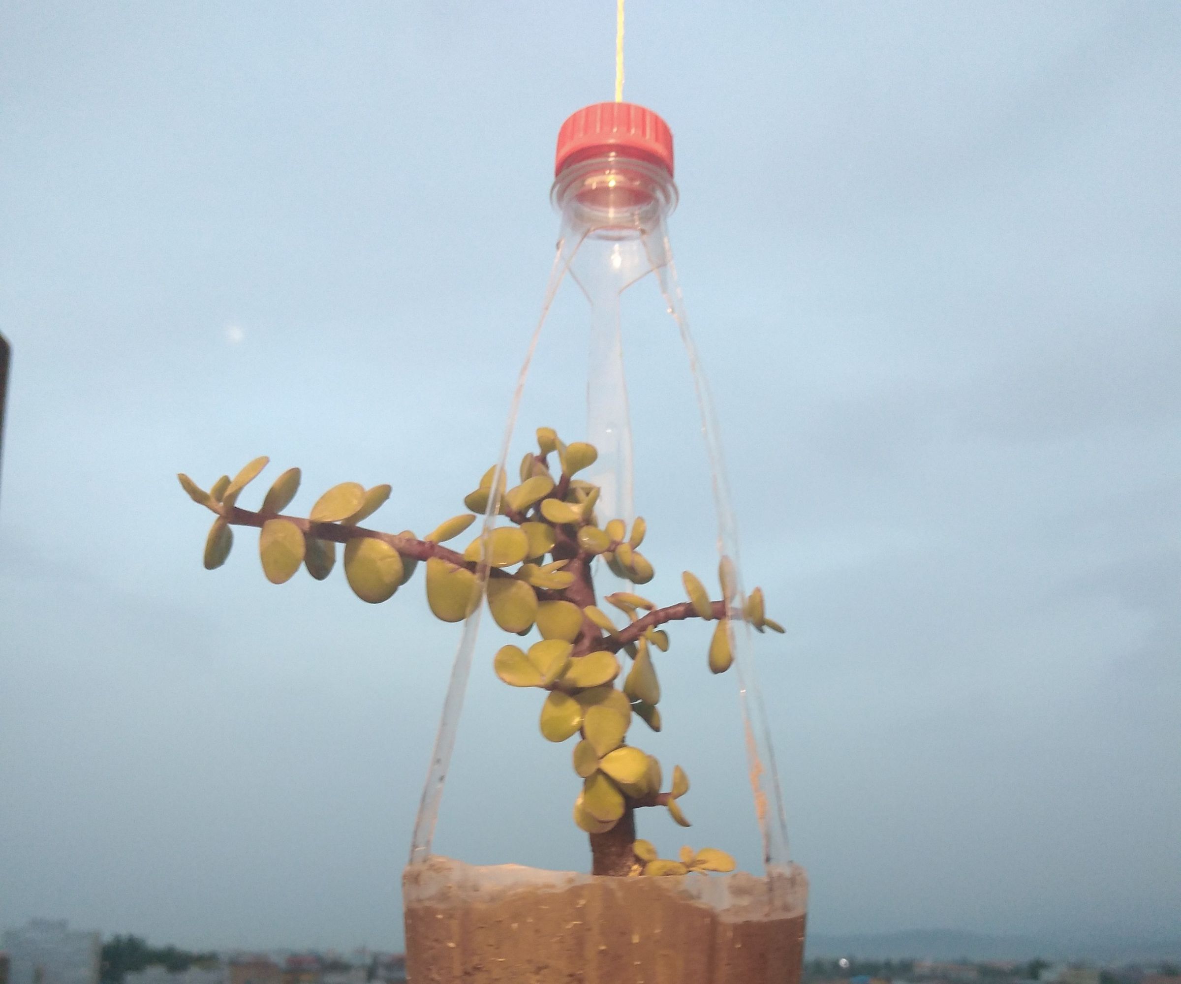 Hanging Pot