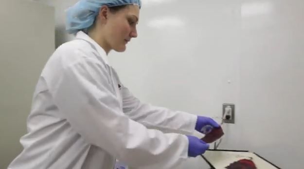 Your Family’s Future