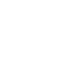 download {{ file.name }}